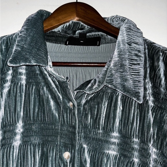 White Birch Women Velvet Burnout Black Label‎ Button Down Shirt XL Whimsigoth - Picture 6 of 9